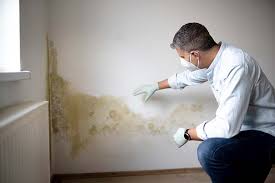 Best Air Quality Testing for Mold Spores  in Shenandoah Heights, PA